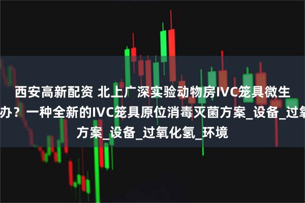 西安高新配资 北上广深实验动物房IVC笼具微生物污染怎么办？一种全新的IVC笼具原位消毒灭菌方案_设备_过氧化氢_环境