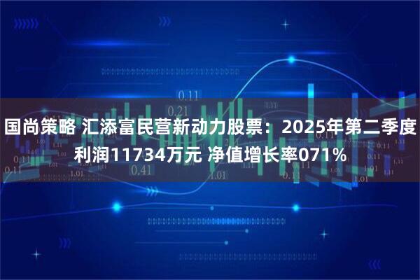 国尚策略 汇添富民营新动力股票：2025年第二季度利润11734万元 净值增长率071%