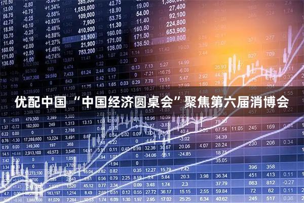 优配中国 “中国经济圆桌会”聚焦第六届消博会