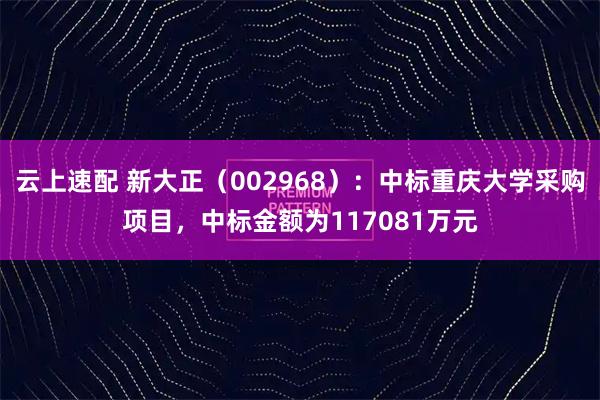 云上速配 新大正（002968）：中标重庆大学采购项目，中标金额为117081万元